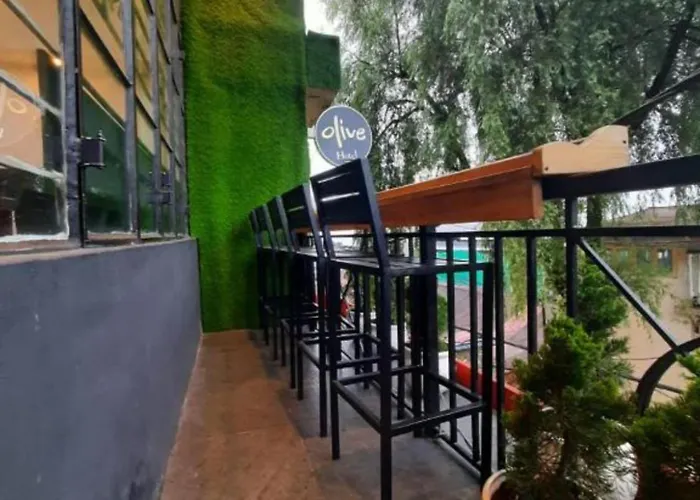 Hotel Olive Branch Darjeeling Near Mall Road - Excellent Customer Service - Parking Facilities - Best Seller