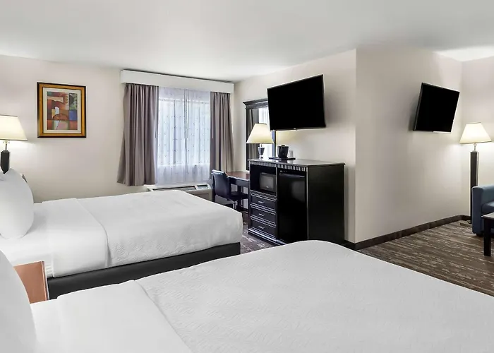 Best Western Saluki Inn