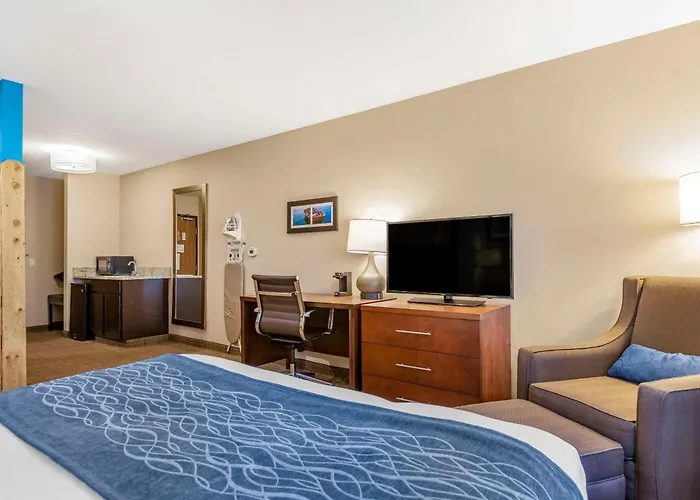 Comfort Inn & Suites Ludington Near Us-10