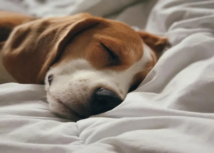Holiday Inn Santo Domingo By Ihg
