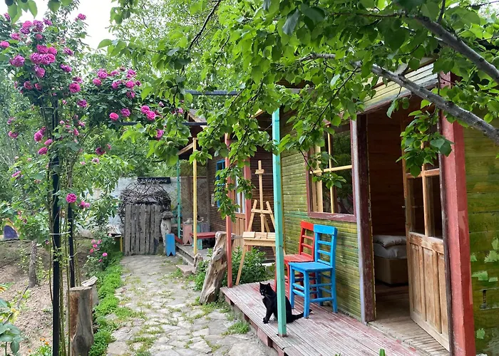 Philosophy Hotel