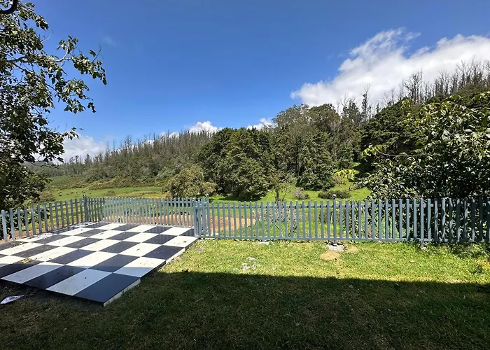 Rr Forest View