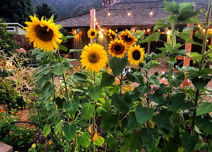 Carmel Valley Lodge