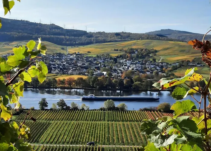 Weingut Weich