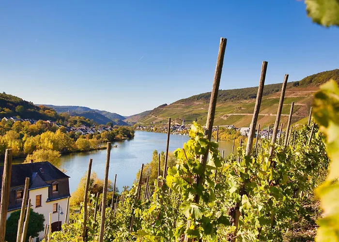 Weinhotel Mayer