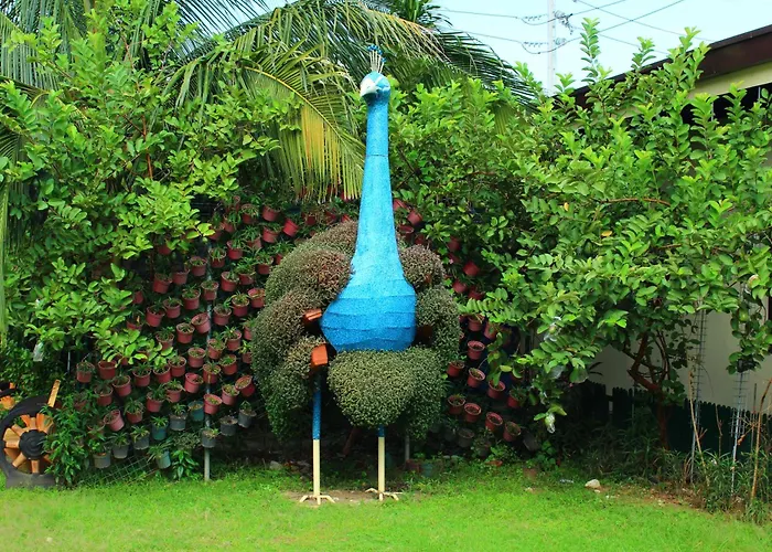 Maclare Resort