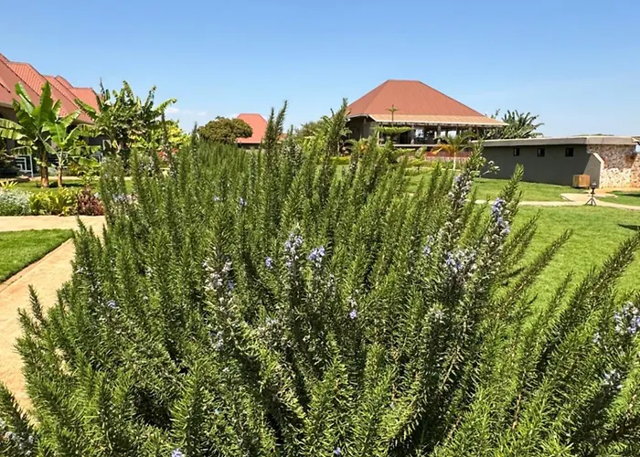 Heart And Soul Lodge