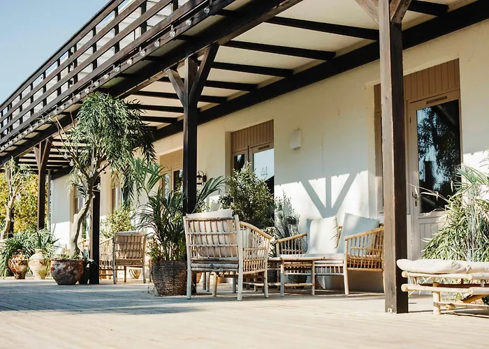 The Falcon Hotel