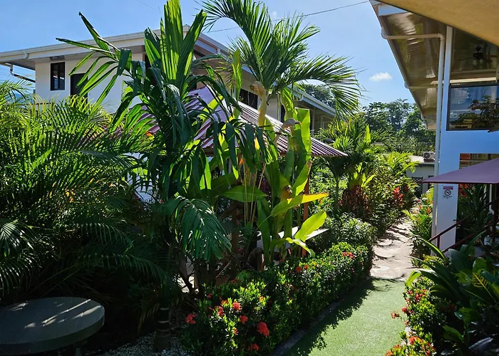 Ballena Rey Hotel