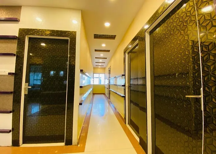 Hotel Basant Vihar International