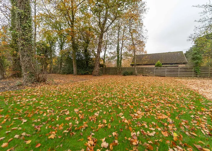 Bankton Rooms & Lodges