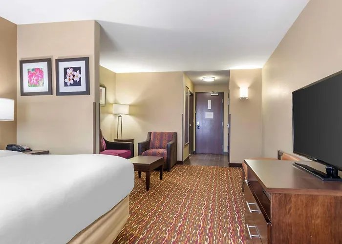 Comfort Inn & Suites Artesia