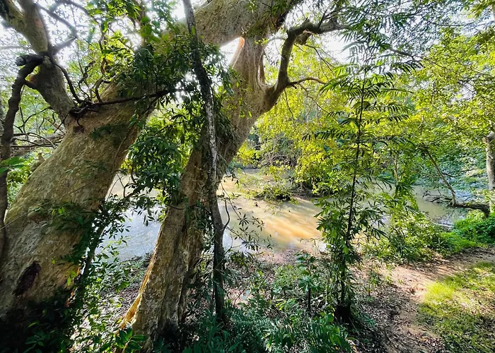 Yala Safari River View Hotel