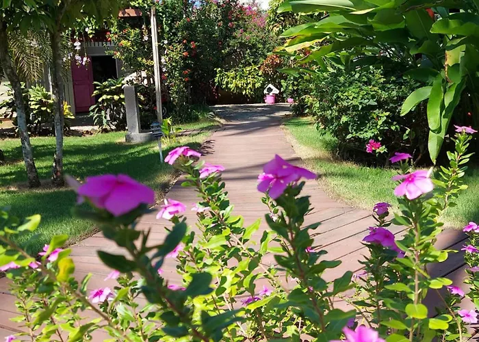 Hotel Casa Robinson