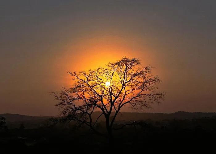 Gir Birding Lodge