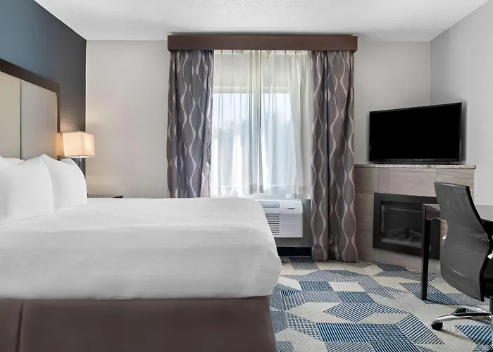 Best Western Plus Flint Airport Inn&Suites