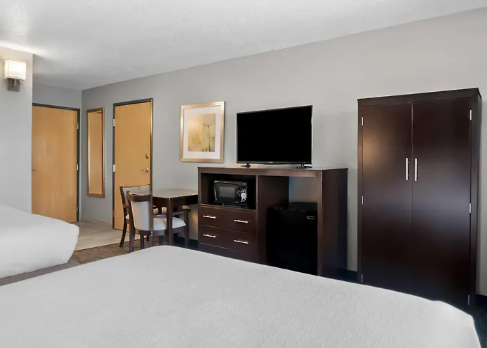 Best Western Plus Flint Airport Inn&Suites