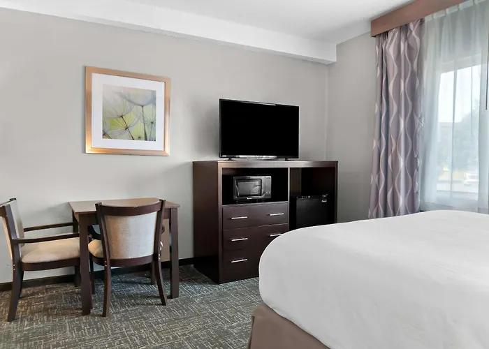 Best Western Plus Flint Airport Inn&Suites
