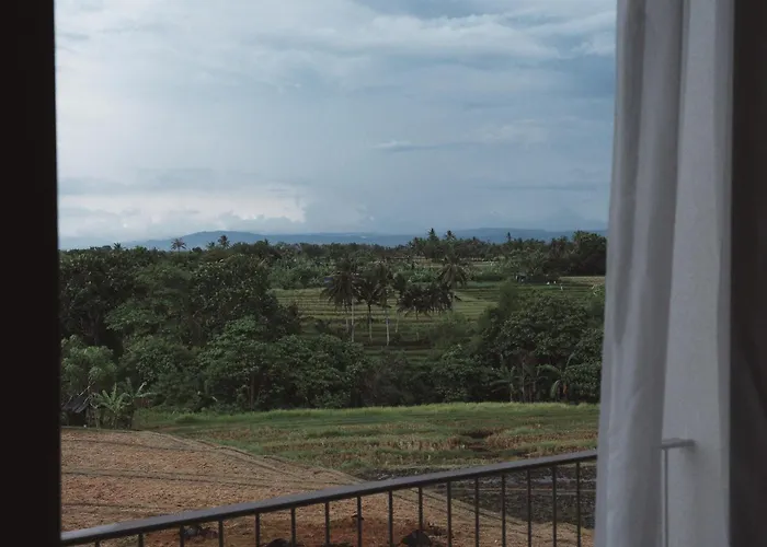 Soko' Stay At Kedungu