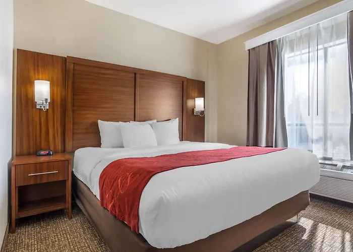 Comfort Suites Old Town Spring