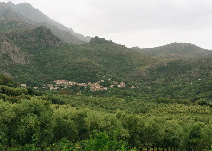 Domaine Acciola