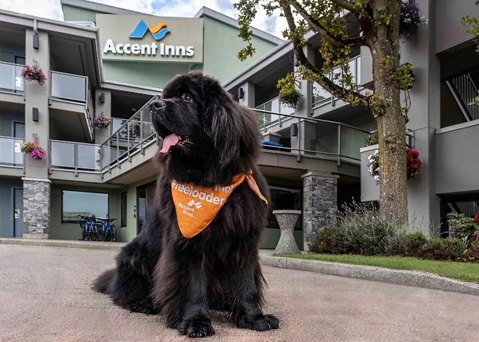 Accent Inns Kelowna