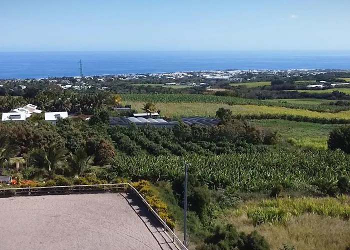 Gadiamb City