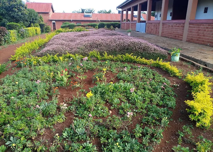 Stc.Safari Lodge