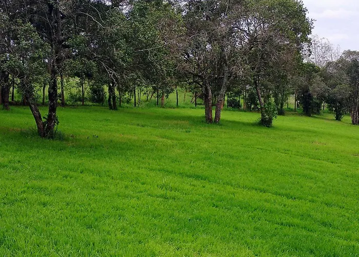 Juniper Green Gardens Resort