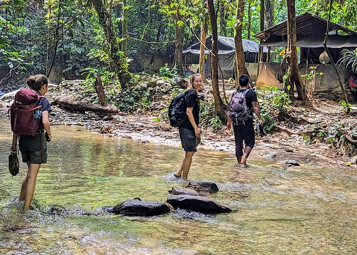 Thejungleguide - Lodges & Treks