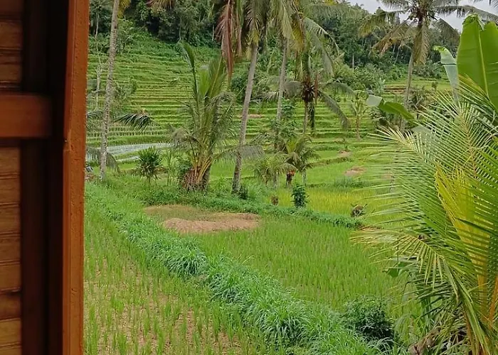 Lumbung Umaluah Villa