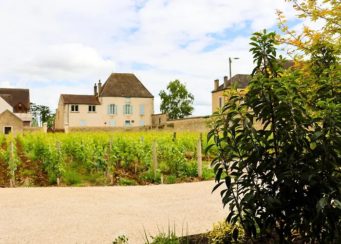 Les Rêveries du Clos POMMARD Vignes&SPA& Dégustation