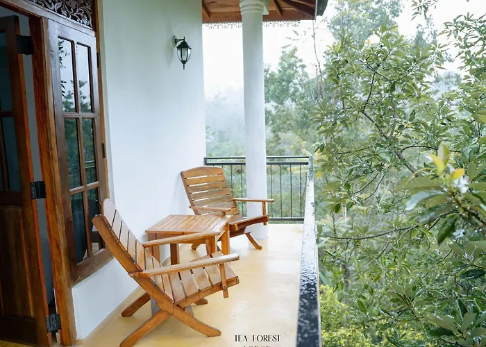 Tea Forest Lodge Ella