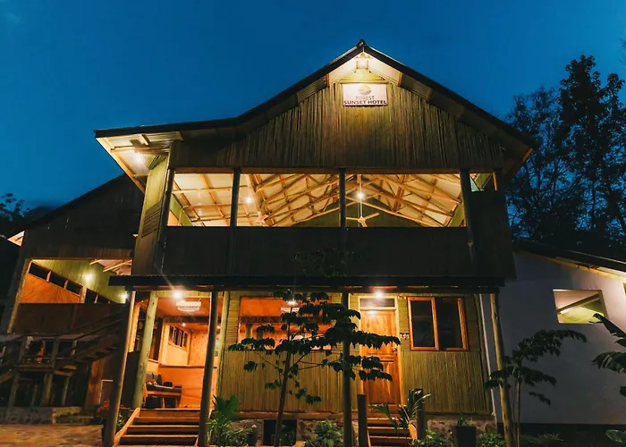 Forest Sunset Hotel