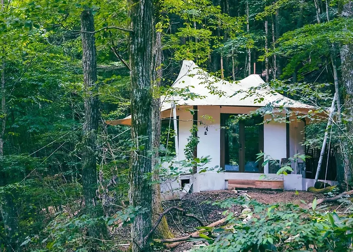 Lateral - Vacation Stay 36610V