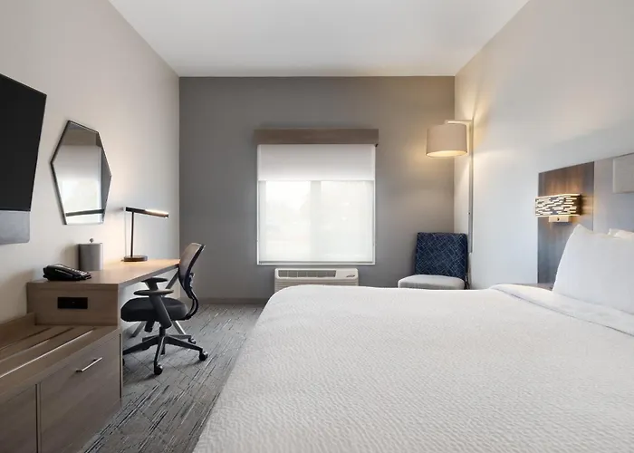 Holiday Inn Express Hotel & Suites Saginaw By Ihg
