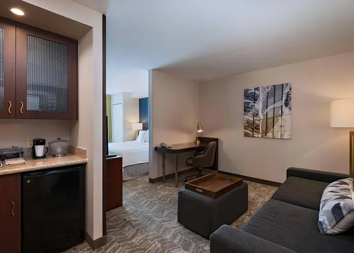 Springhill Suites Boise West/Eagle