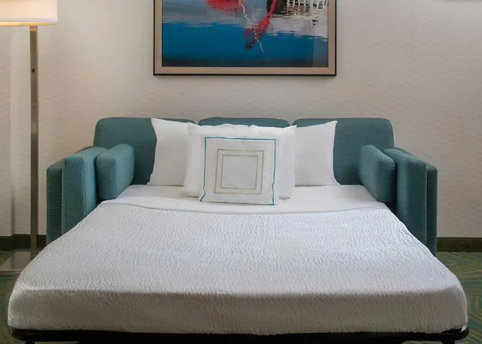 Springhill Suites By Marriott Nashville Vanderbilt/West End