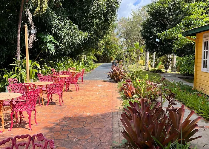 El Oasis Hotel