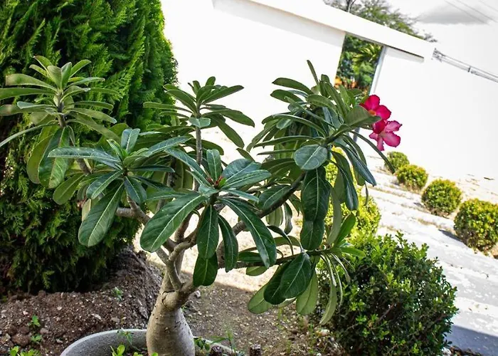 Pousada Flor de Caroá