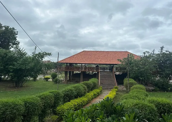 Leo wooden resorts