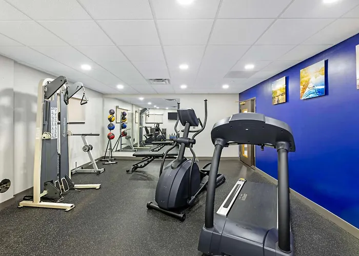 Comfort Inn & Suites Arlington Heights - Schaumburg