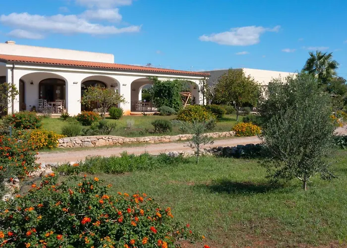 Delle Rose Horses Club