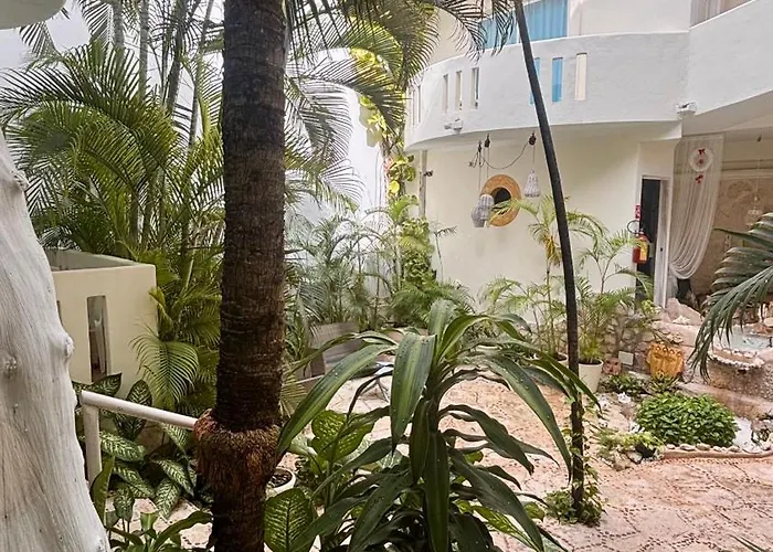 Coco Rio Hotel - Mamitas Beach Area