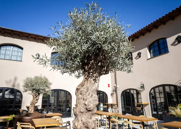 Hotel & Spa Convento San Francisco
