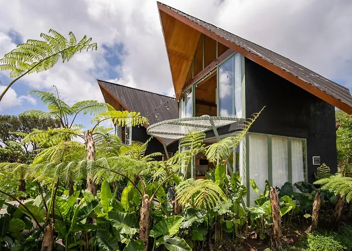 Black Wood Cabin