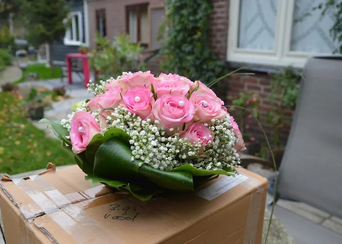 B & B Boezeneren Yerseke