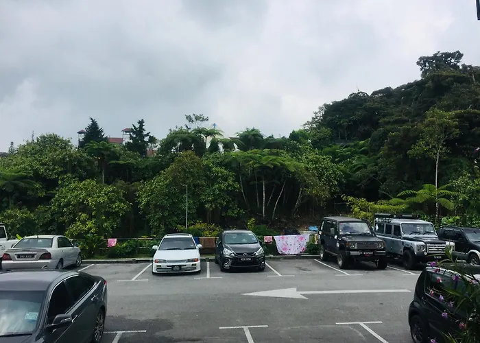 Lily Haven Hotel C-1