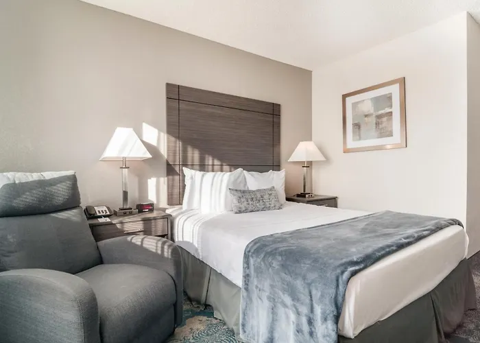 American Inn&Suites Metro Airport