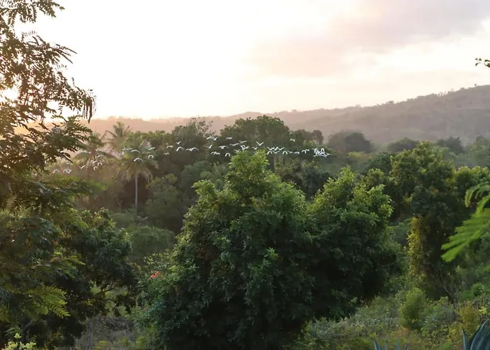 Sumba Nautil Resort